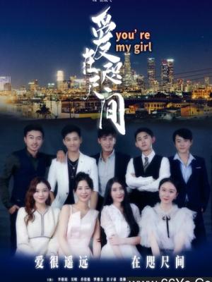 电视剧《万家长安》封面